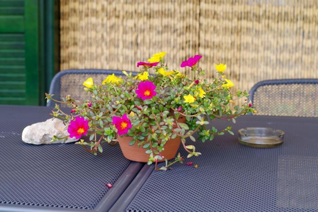 Un Angolo di Relax Tavernola Bergamasca Esterno foto
